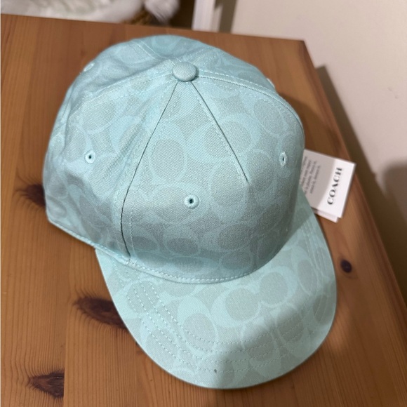 🥰 Signature Sun Bleached Baseball Hat Turquoise - Picture 6 of 7